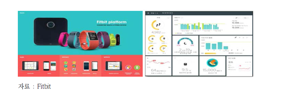 Fitbit 제품군 및 웹 UI