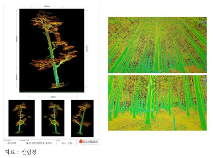 지상스캐너로 촬영한 울진 오백년 송이(좌), 시각화 이미지(우)