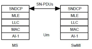 Subnetwork Dependent Convergence Protocol