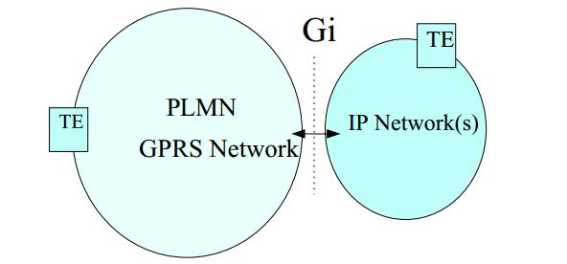 IP 망 연동을 위한 Gi 인터페이스