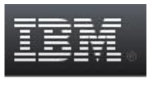 IBM 로고