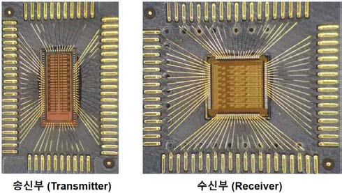 개발 IC