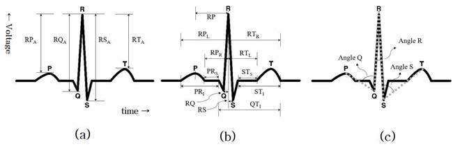 심전도 생체신호 파형 및 개인인증에 사용되는 생체신호 특징값 (a) 진폭 특징값, (b) 구간 특징값, (c) 각도 특징값