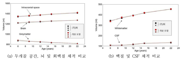 개발 모델의 뇌구조물 체적