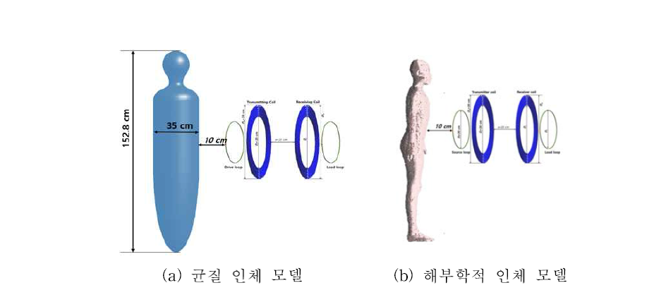 인체 모델에 대한 노출 조건