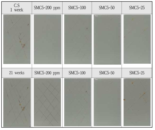 Effect of self-anticorrosion barrier with OA-IS-SA