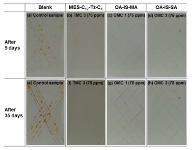 Corrosion test results for self-healing performances of paint-coated panels loaded with anticorrosion agents filled microcapsules (MSE-C12-Tz-C8, OA-IS-MA, and OA-IS-SA) and only the oil filled capsules (blank) after 5 days and 35 days, respectively.