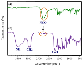 FT-IR spectra: (a) toluene diisocyanate and (b) BD-TDI-P polymer.