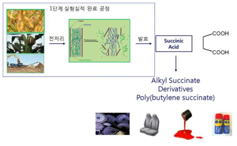 숙신산계 정밀화학 중간체 제조공정 및 응용기술.