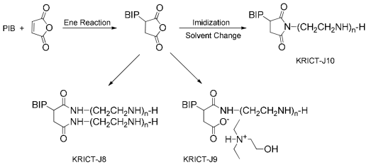 Synthetic scheme of polyisobutenyl succinimide derivatives.