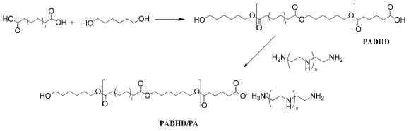 Synthetic scheme of polyester-polyamine derivatives.