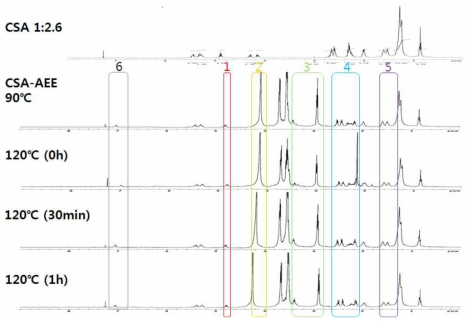 CSA-AEE 1:5.6 시간대별 반응 NMR data (1)