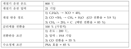 100Nm /h 공정설계 시 적용된 조건