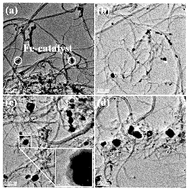 TEM images of (a) pristine MWCNTs and MWCNTs decorated with 33.3 wl% (b) Fe0.2Ni0.8, (c) Fe().5Ni0.5, and (d) Fe0.8Ni0.2, where the horizontal scale bars correspond to 100nm