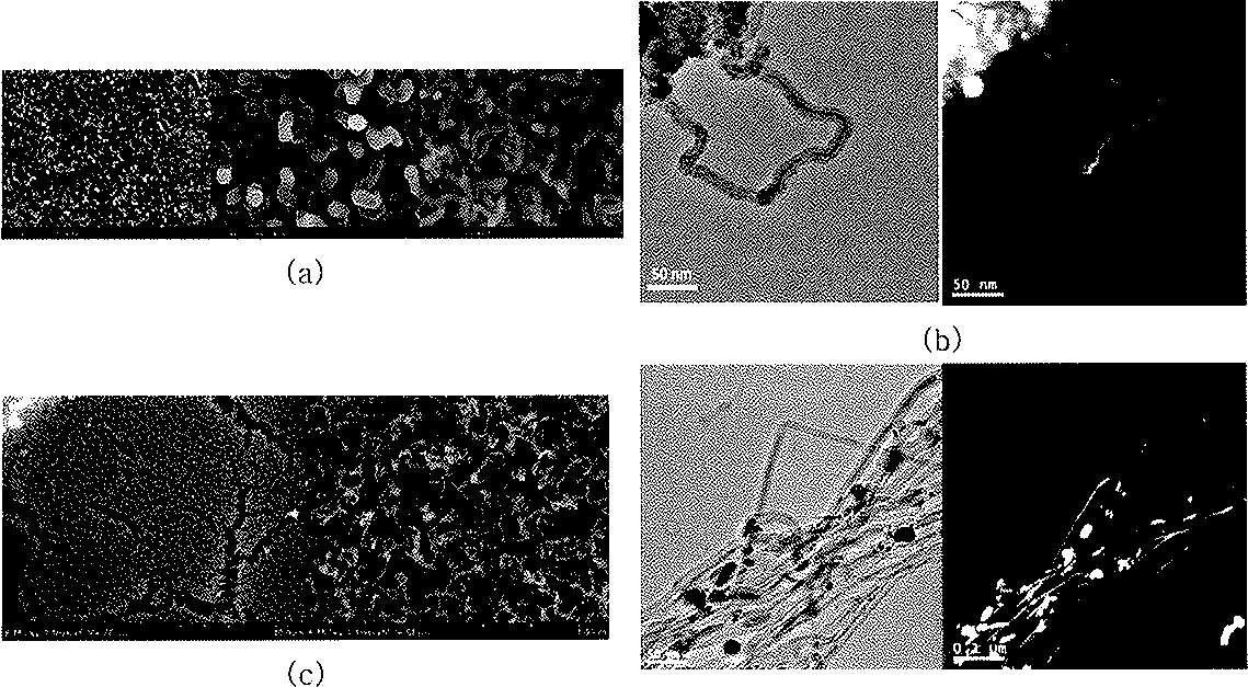 (a) Nickellocene (600°C)이용한 SEM 사진，(b) Nickellocene/toulene (600°C)를 이용한 TEM, STEM 사진, Cobaitocene/Loulene (750°C)을 이용한 (c) SHM, (d) TEM과 STEM 사진