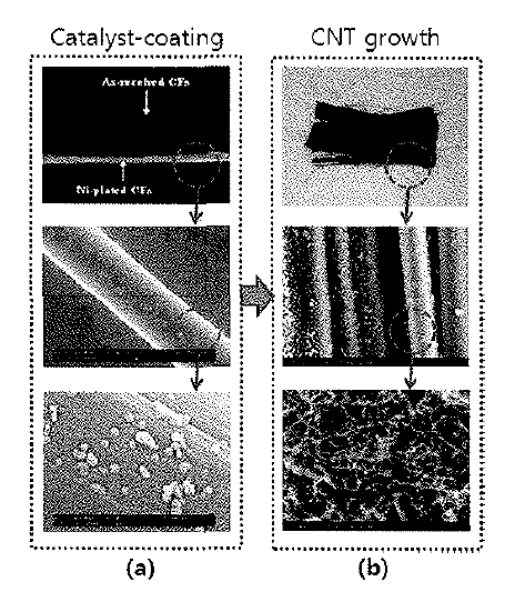 Photographs and SEM images of carbon fibers； (a) after catalyst coaling, (b) after CNT growth