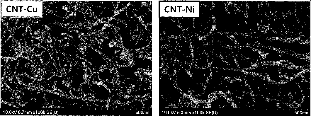 CNT-나노금속 하이브리드 입자의 주사전자현미경 관찰결과