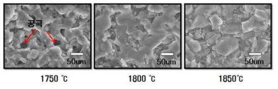 소결 온도에 따른 SiC 소결체의 SEM 이미지