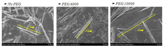 첨가한 PEG의 분자량별 알루미나 rod의 길이변화