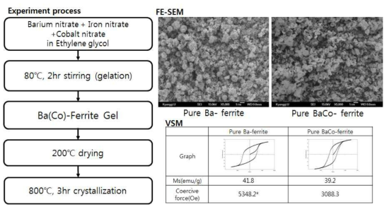 Ferrite Gel 제조 및 열처리 공정과 SEM, VSM 분석 결과