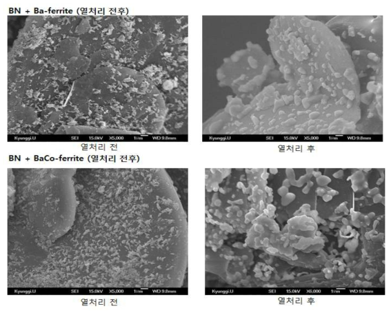 제조된 BN+Ba(Co)-ferrite의 열처리 전후 SEM 이미지