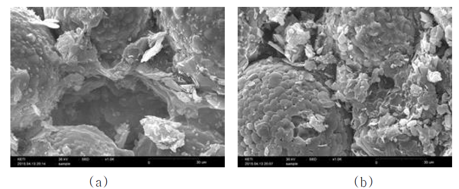 h-BN/AlN 복합체(a)와 Glass 응집 BN/AlN 복합체(b)의 단면 SEM 사진.