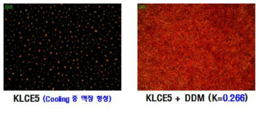 신규 합성된 KLCE5 에폭시의 편광현미경 분석