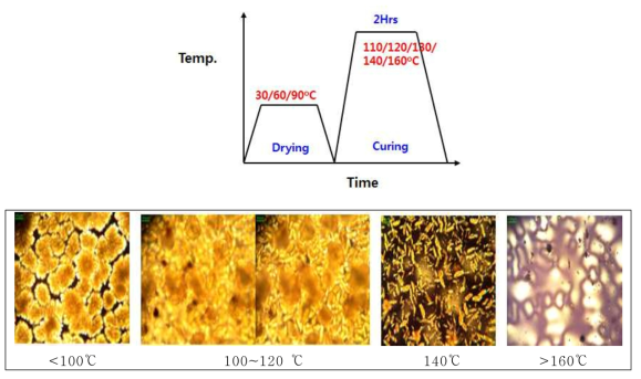 YDME10의 열처리 온도 프로파일 및 편광현미경 분석 결과.