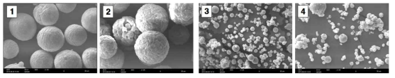 KICET 제조 AlN 분말 4종의 SEM 사진.