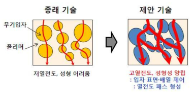 종래 기술과의 차별성.