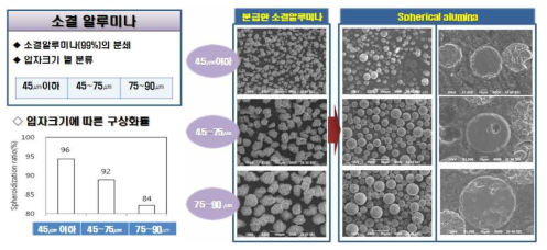 분급한 소결알루미나의 flame pyrolysis에 의한 구상화율 및 미세구조 사진