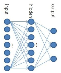 적용된 Neural Network의 구조