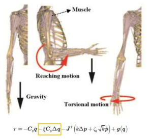 Muscle Tension Effect 개념도