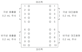 피내 투여 위치