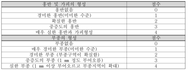 피부반응 점수표