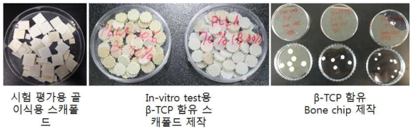 In-vitro 테스트용 스캐폴드 제작