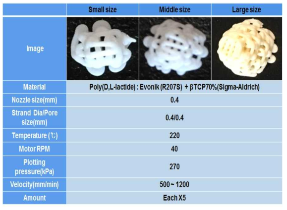 Bone chip 스캐폴드 제작