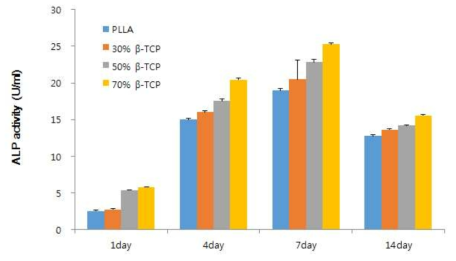 PLLA/β-TCP 스캐폴드 세포 분화 실험 결과