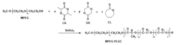 PLGC 공중합체의 제조