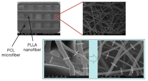 마이크로/나노급 복합 스캐폴드 제작 결과