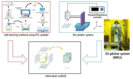 Salt-leaching과 3D-plotter 스캐폴드의 비를 이용하여 비면적 조절이 가능한 스캐폴드 제작 방법