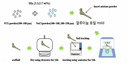 Salt-leaching을 이용한 porosity gradient bone 형상 스캐폴드 제작 기법 개념도