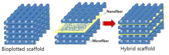 마이크로/나노급 복합 스캐폴드 개념도