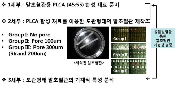 PCLA 도관용 스캐폴드 제작 공정