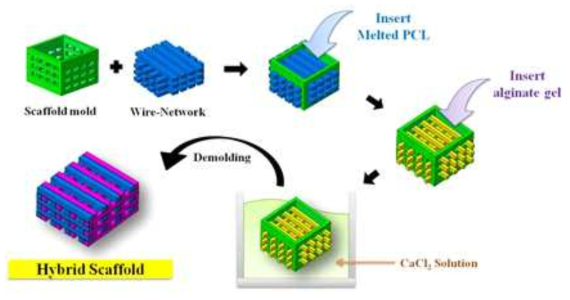 WNM 방법을 이용한 하이브리드 스캐폴드 제작 방법