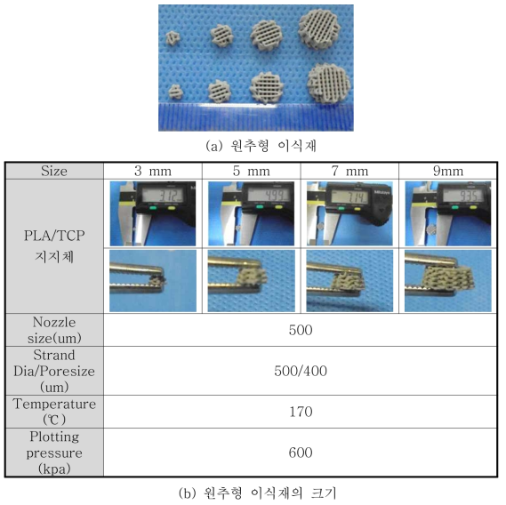 10 nm 이하 β-TCP 분말이 70% 함유된 원추형 이식재의 제조