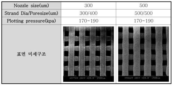 300um와 500um 노즐로 플로팅한 이식재의 표면 구조