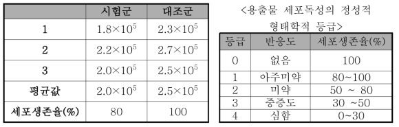 PLA/TCP 이식재의 세포독성 평가