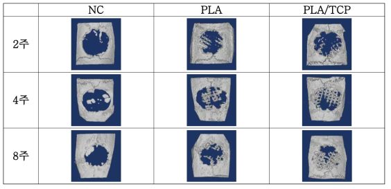 두개골 결손모델을 이용한 이식재의 Micro CT 분석