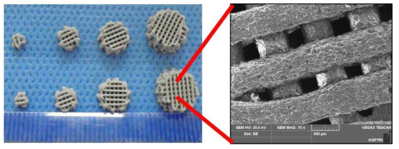 직경 400 um의 기공크기를 갖는 PLLA/β-TCP 지지체